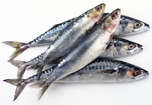 Other fish fatty acids