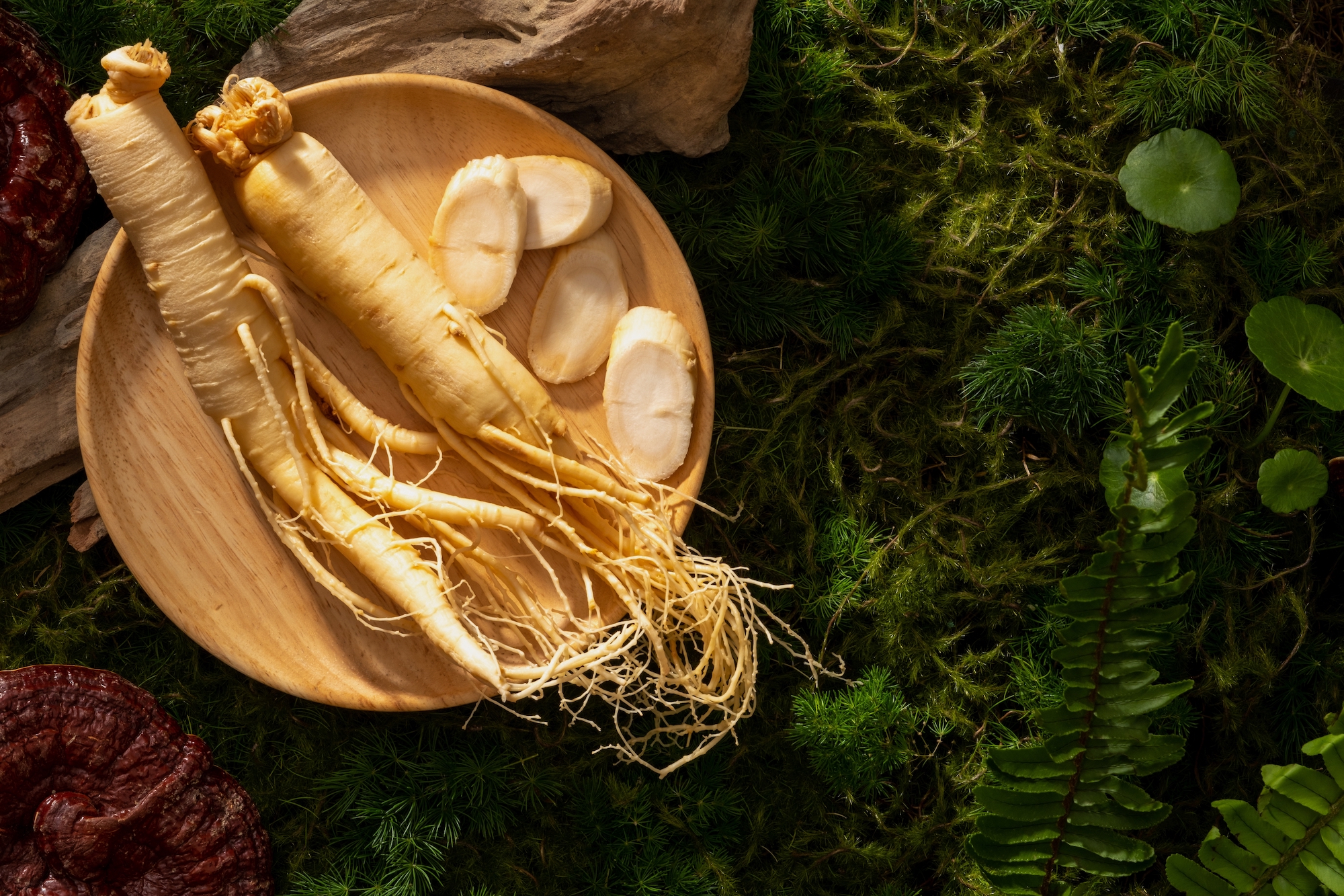 l'Extrait de Ginseng