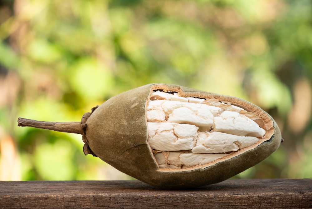 Baobab